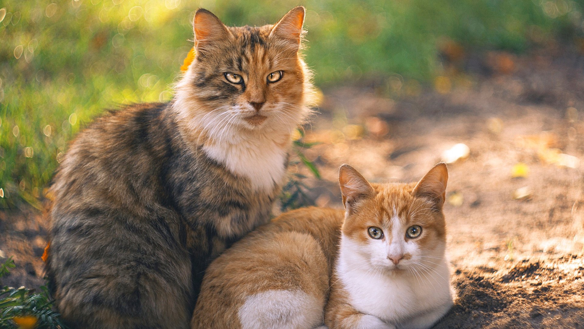 今年联盟中投篮命中率最高的球员都有哪些？，投篮时机球员真实命中率