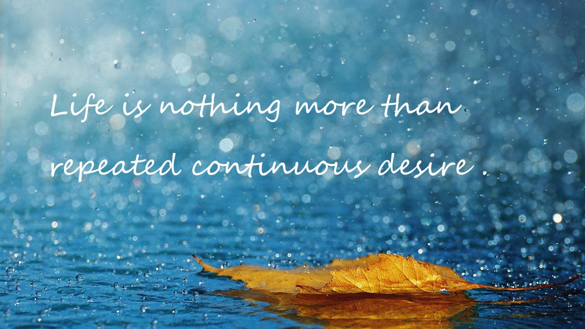 KAIYUNAPP-“法甲狂飙突进，豪门争夺激烈升温”，法甲 强队