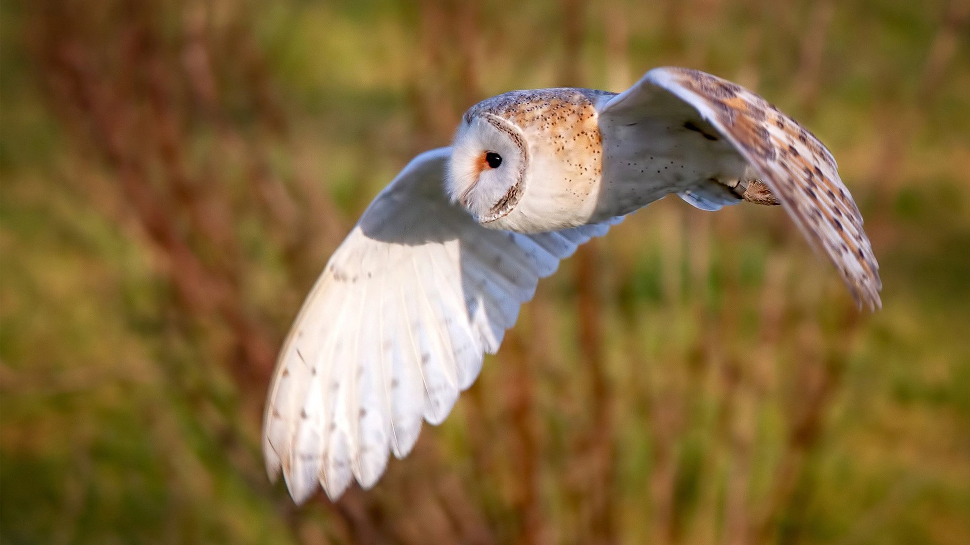 台球界新政策，激励年轻运动员参与，台球人员